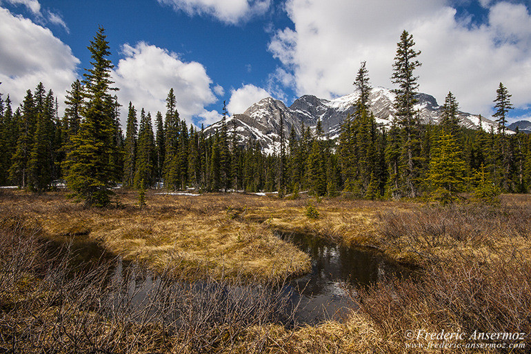 Kananaskis Country, Banff, Alberta AnsermozPhotography