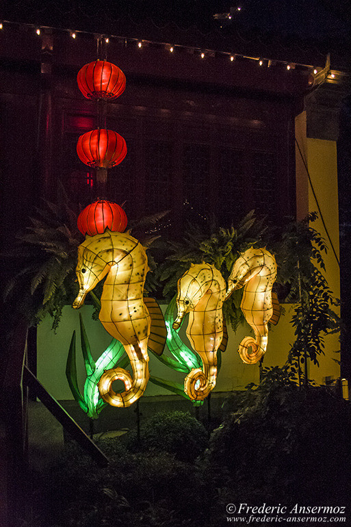 Lantern Festival Montreal, Gardens Of Light AnsermozPhotography