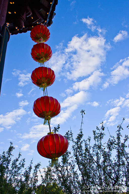 Lantern Festival Montreal, Gardens Of Light AnsermozPhotography