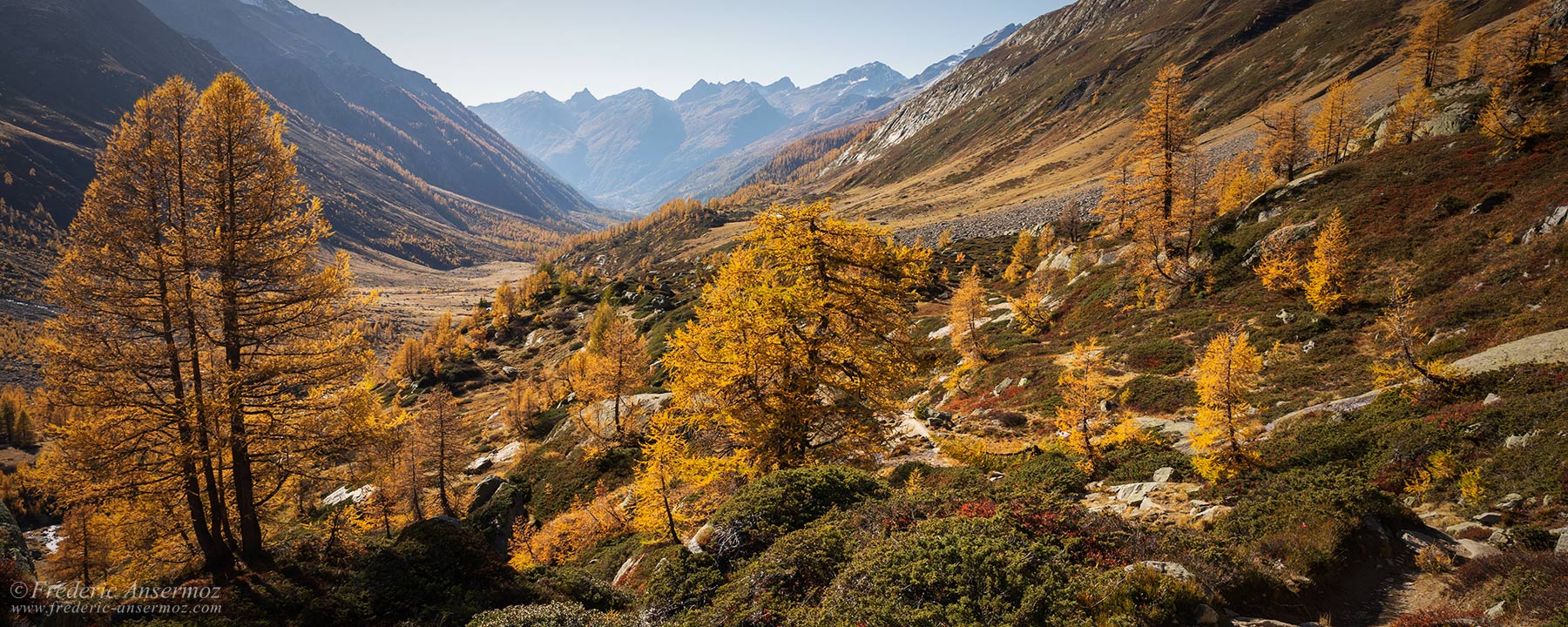 Autumn colors in Lötschental, Switzerland