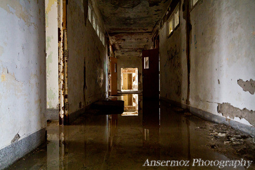 Abandoned building corridor swamped