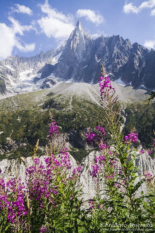 Aiguille du Dru