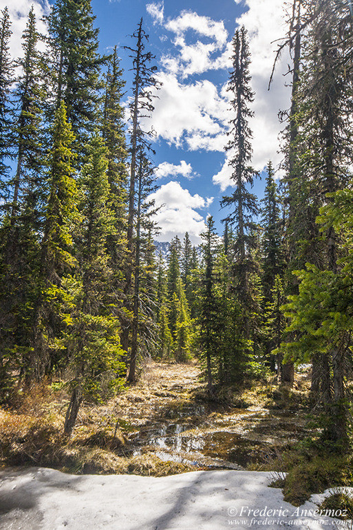 Kananaskis country 05