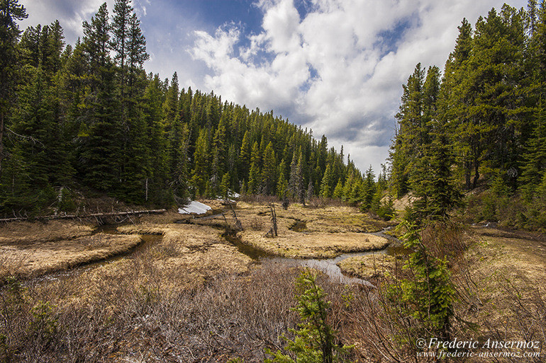 Kananaskis country 14