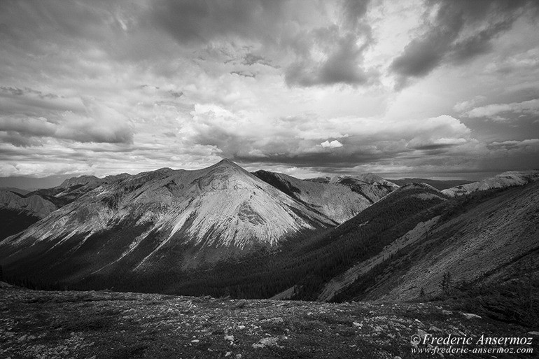 Jasper skyline