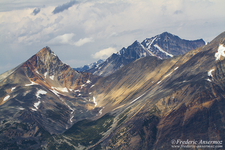 Chad peak alberta