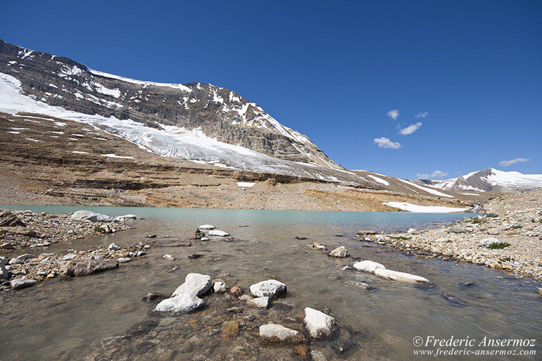 Glacier trail alberta