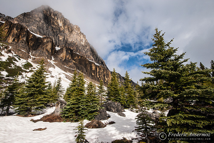 02 snowy mountain alberta