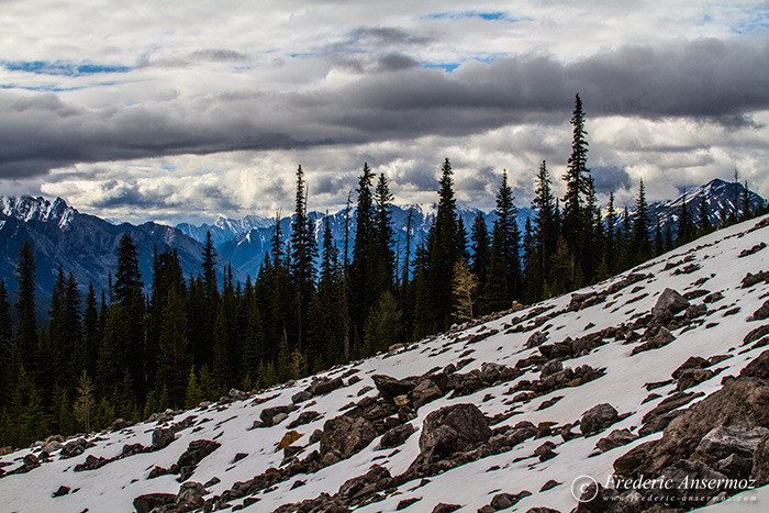 03 snowy slope alberta