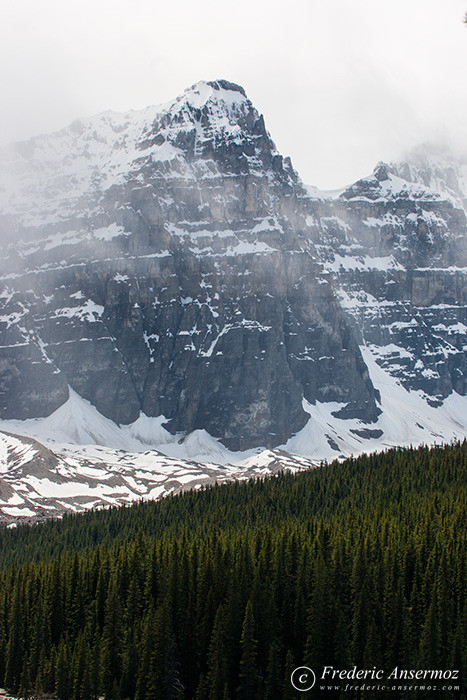 06 snow capped mountain forest