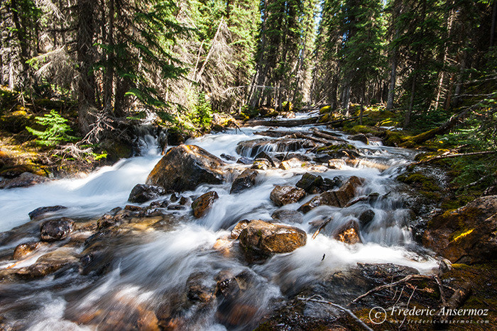 07 river torrent forest