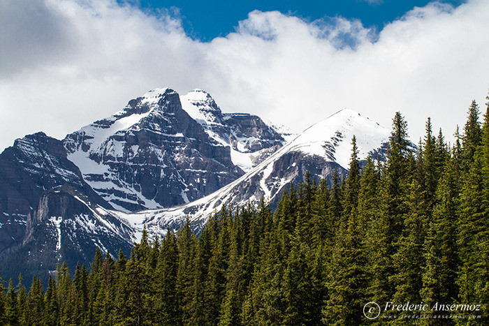 10 forest mountains snow