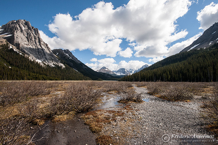 19 burstall pass kananaskis