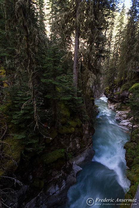 17 johnston canyon creek