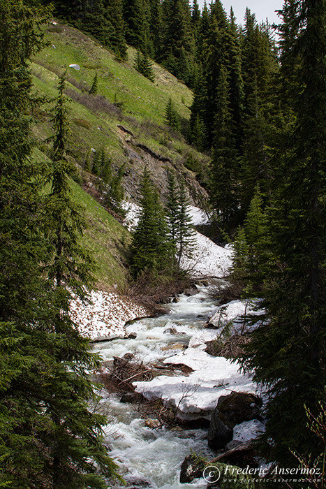 22 mountain river torrent 22 mountain river torrent