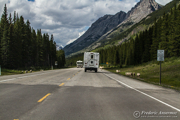 25 highway 40 alberta 25 highway 40 alberta