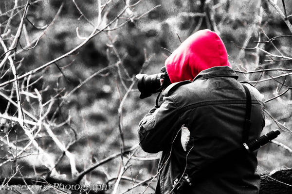 Ansermoz photography jarold 04 Ansermoz photography jarold 04
