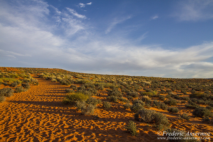 Arizona desert 0854