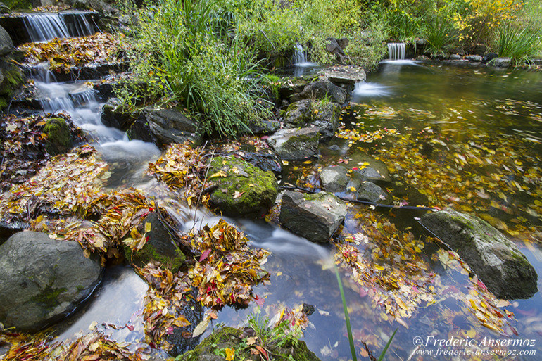 Les couleurs d’Automne