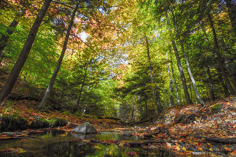 Les couleurs d’Automne Les couleurs d’Automne