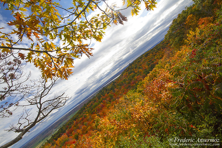 Les couleurs d’Automne