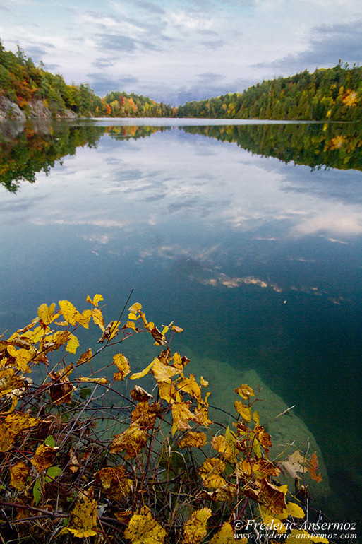 Les couleurs d’Automne