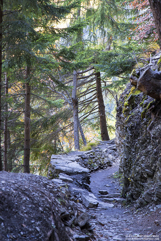 Bisse du Torrent Neuf (Bisse de Savièse), Valais, Suisse