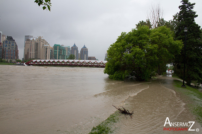 Calgary flood 2013 009