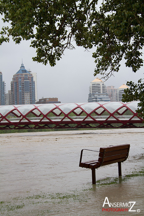 Calgary flood 2013 011