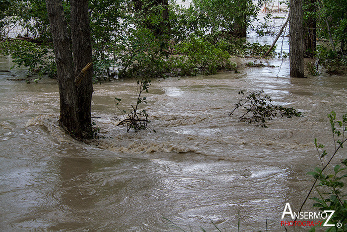 Calgary flood 2013 013