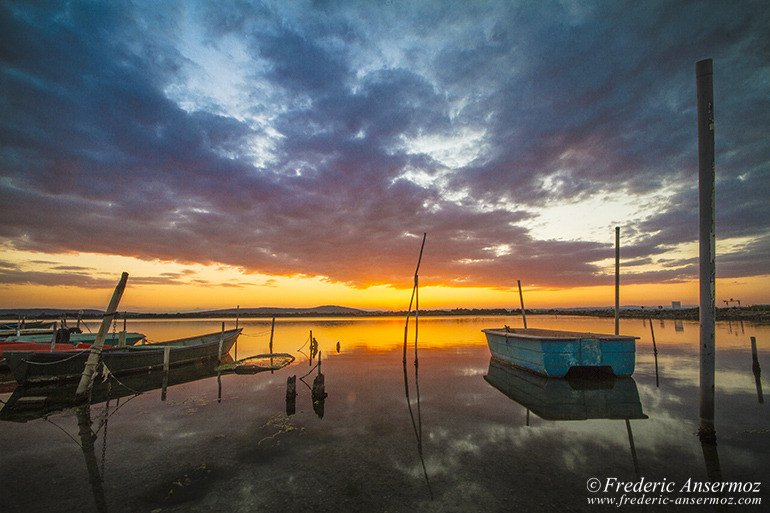 Camargue 16