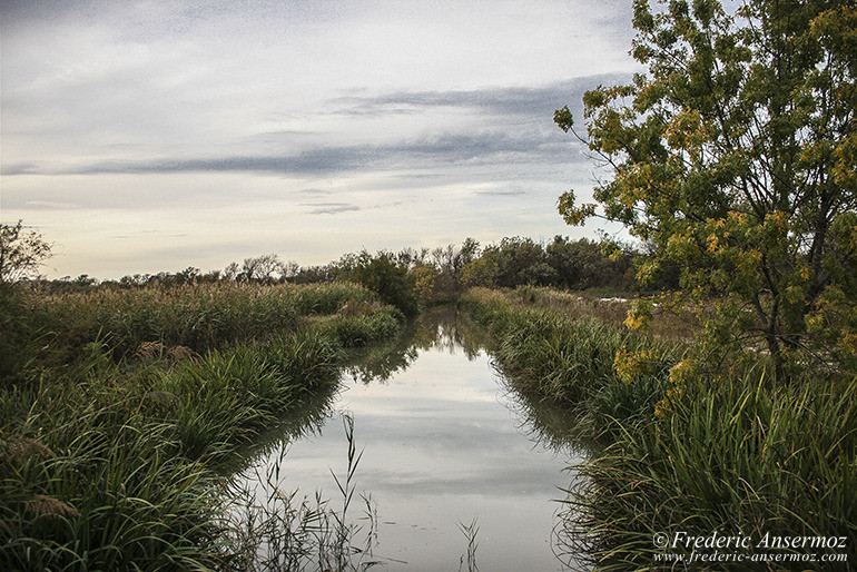 Camargue 27 Camargue 27