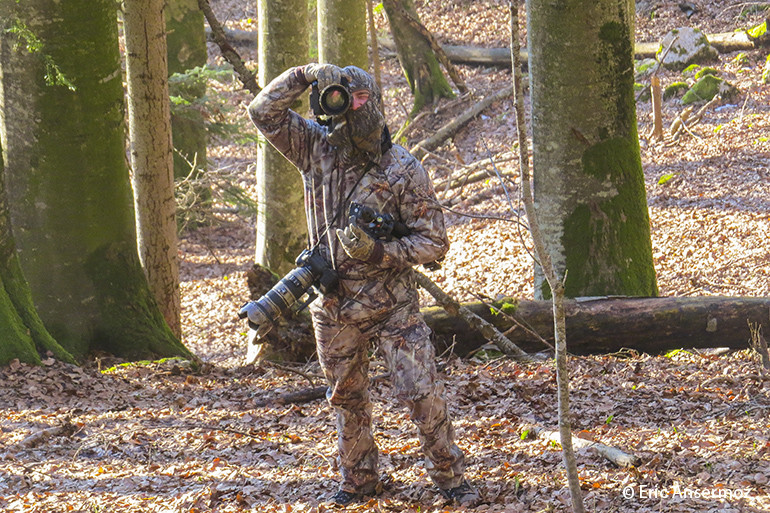 11 autumn camouflage photography