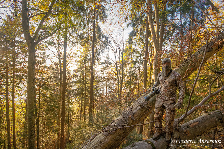 13 autumn camouflage photography