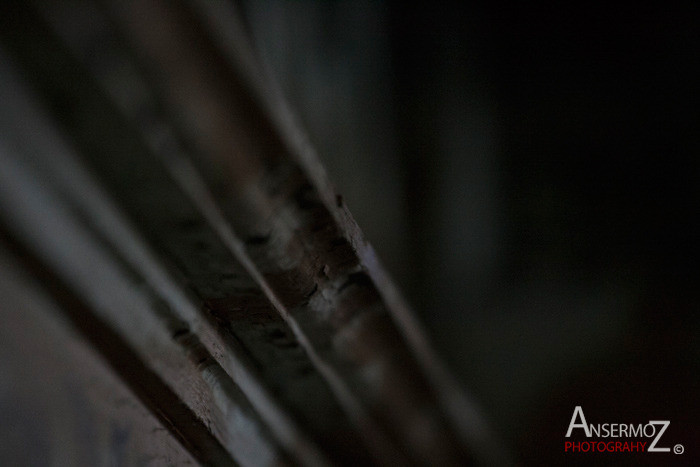 Urban exploration in the Canadian Malting Plant, abandoned factory in Montreal