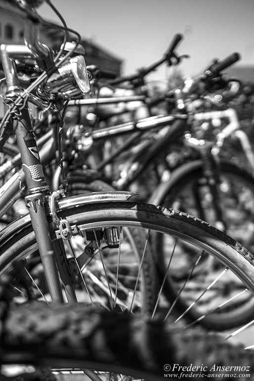 13 bicyclette noir blanc