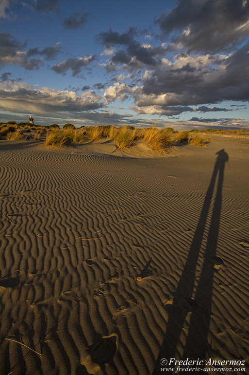 Espiguette beach