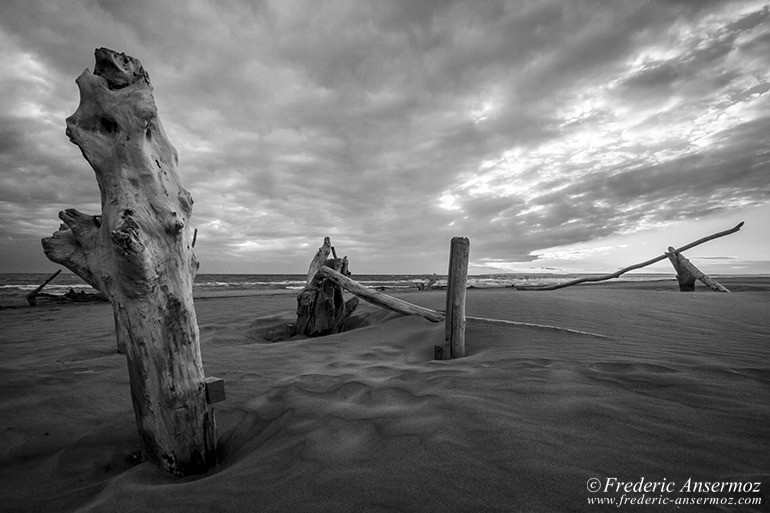 Mediterranee espiguette plage 08