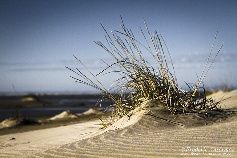 Mediterranee plage 12