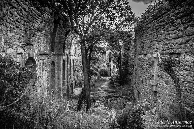 Le Château de Viviourès, connu sous le nom du Château de la Roquette, dans le sud de la France