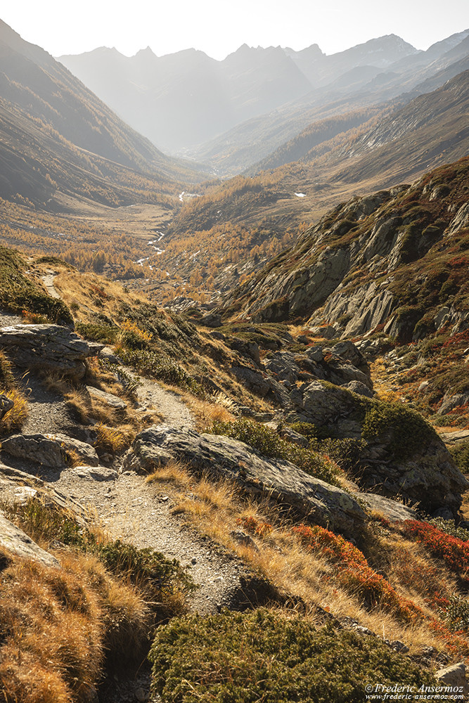 La rivière Lonza dans la vallée du Lötschental, Valais, Suisse