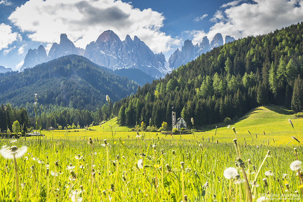 Santa Maddalena Church in Val Di Funes, Dolomites, Italy