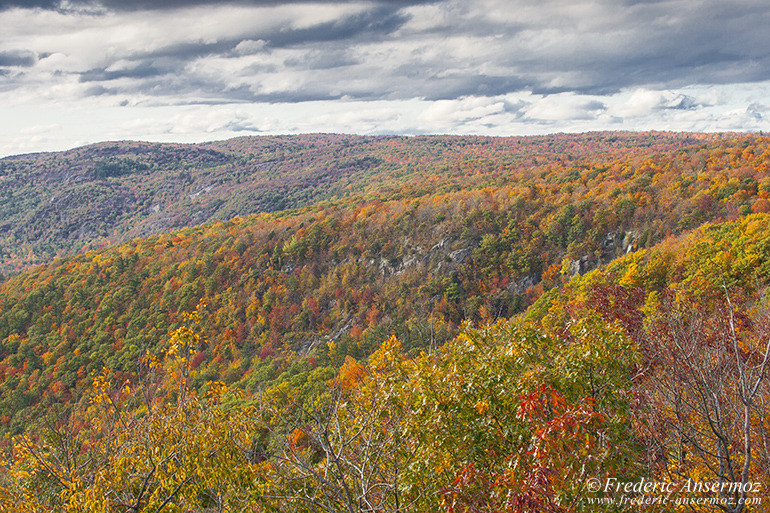 Les couleurs d’Automne