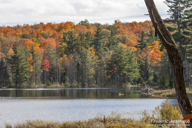 Les couleurs d’Automne