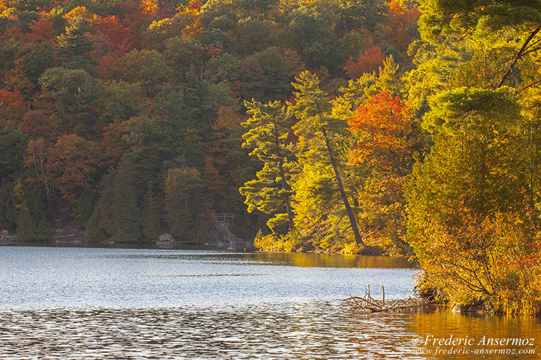 Les couleurs d’Automne