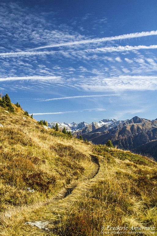 Hiking in Valais in Switzerland. Fiescher glacier