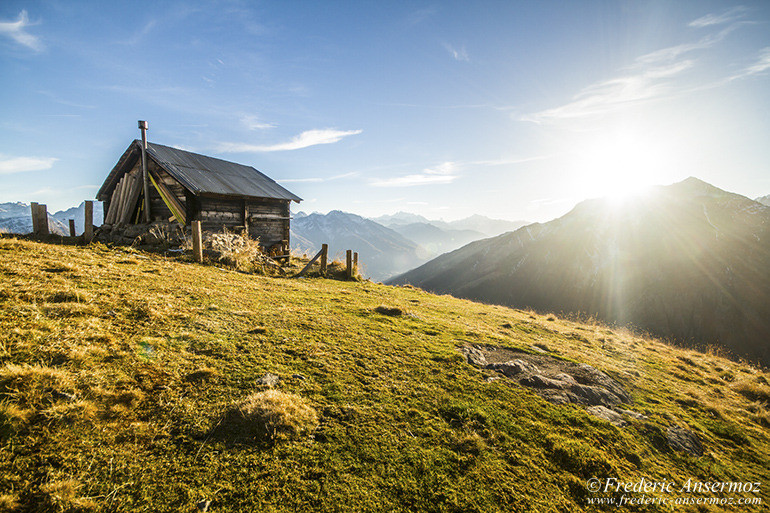 Alpine pasture in Valais on a sunny day. Fiescher glacier, Switzerland