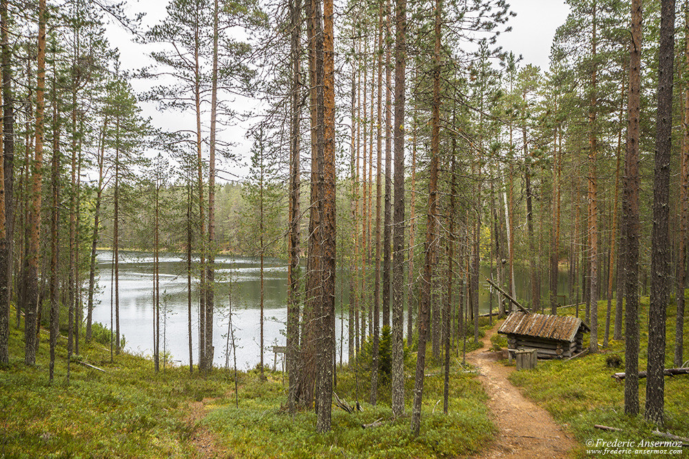 Cabane Pitkä-Hoilua, parc Hossa, Finlande