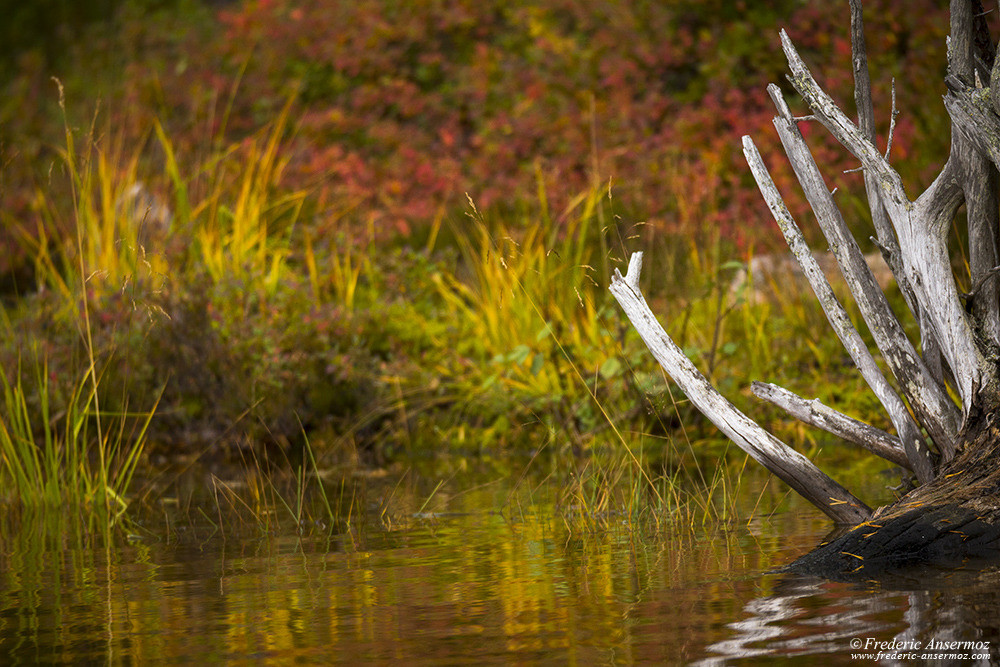 Autumn colors in Finland, Hossa