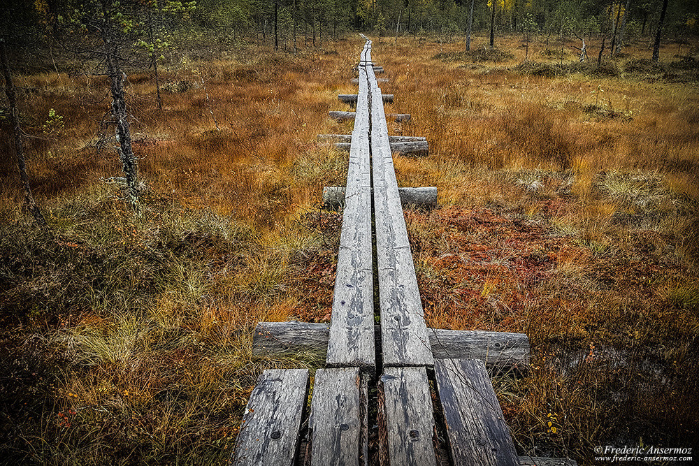 Wooden path on Karhunkierros Hiking Trail